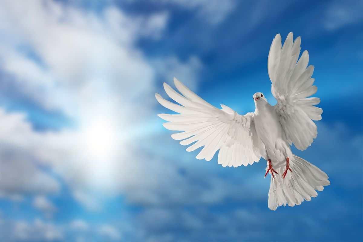 A Question of Faith
